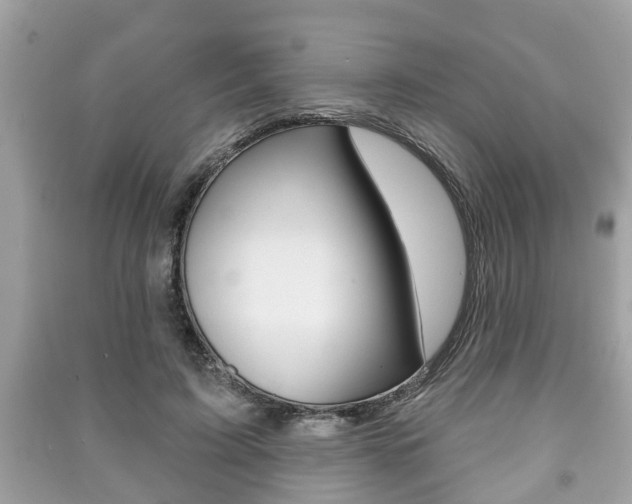 X0000091210595200708091117