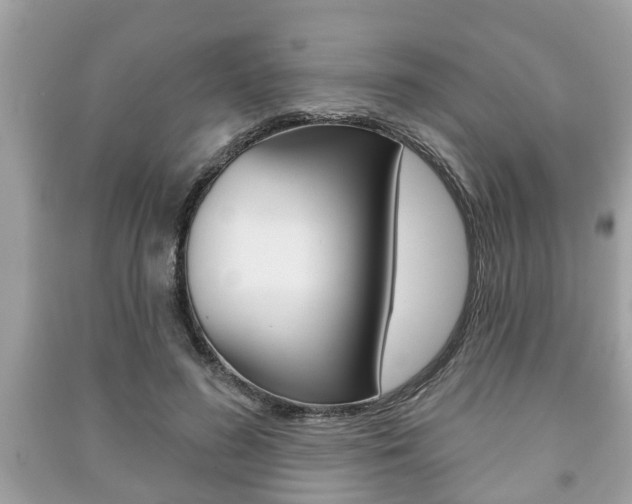 X0000091210596200708091117