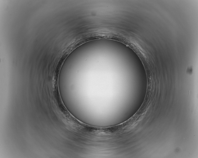 X0000091210597200708091117
