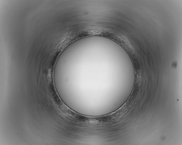 X0000091210598200708091117