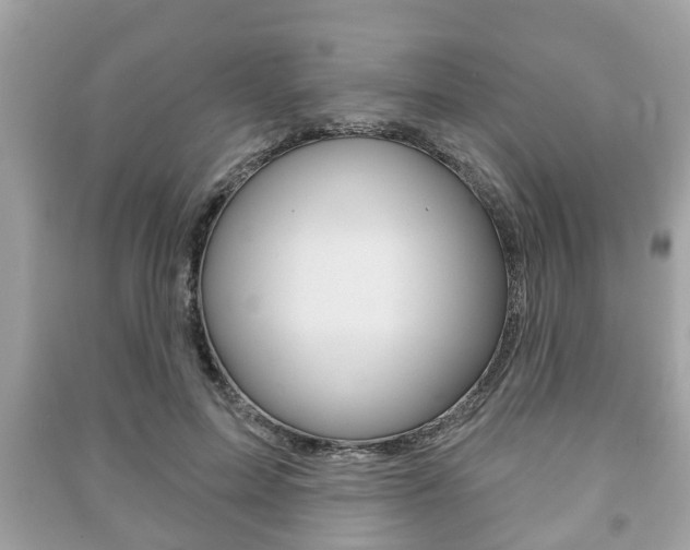 X0000091210599200708091117