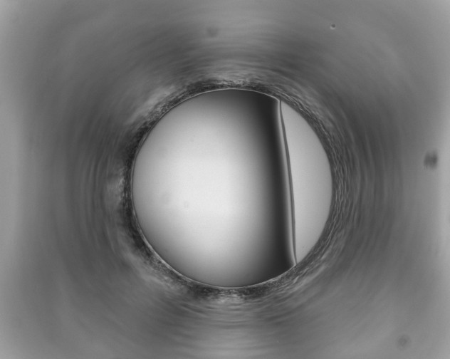 X0000091210600200708091117