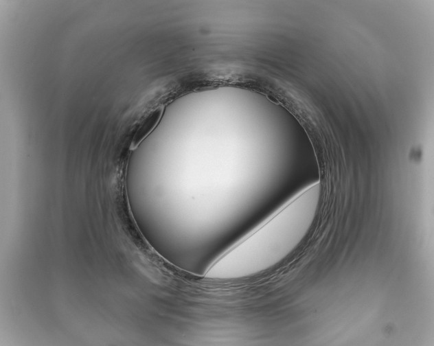 X0000091210601200708091117