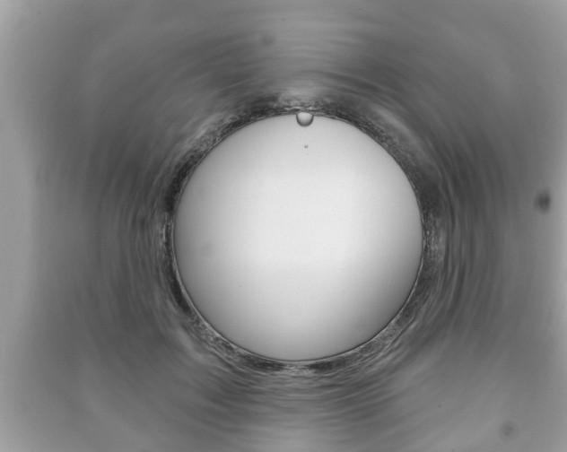 X0000091210603200708091117