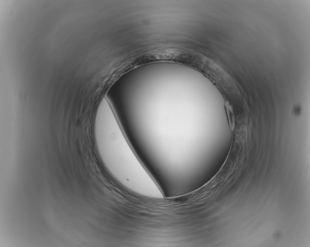 X0000091210604200708091117