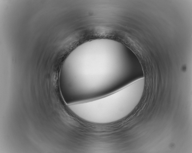 X0000091210605200708091117