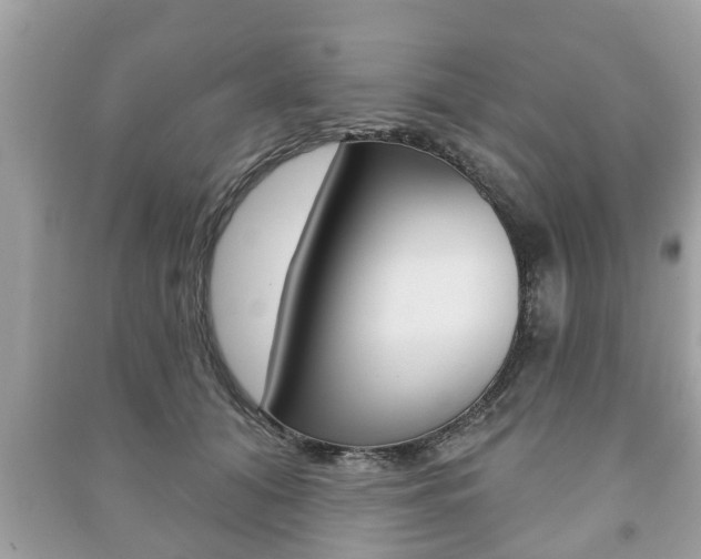 X0000091210608200708091117