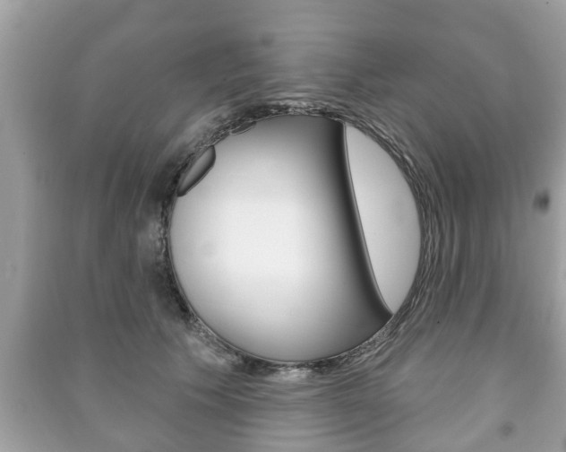 X0000091210609200708091117