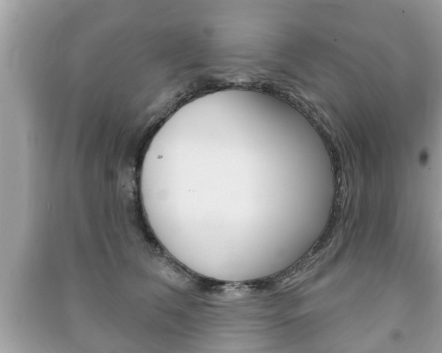 X0000091210612200708091117