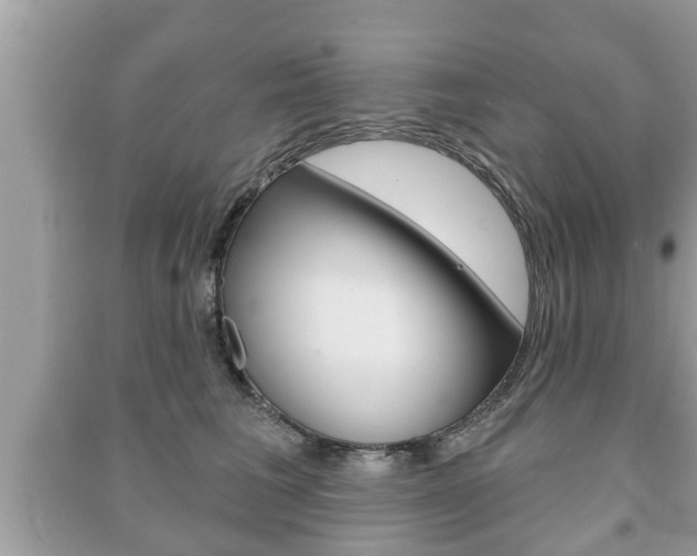 X0000091210613200708091117