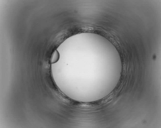 X0000091210614200708091117