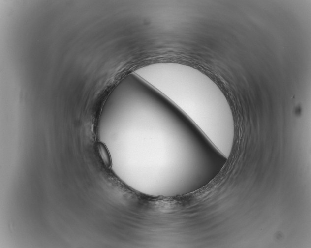 X0000091210615200708091117
