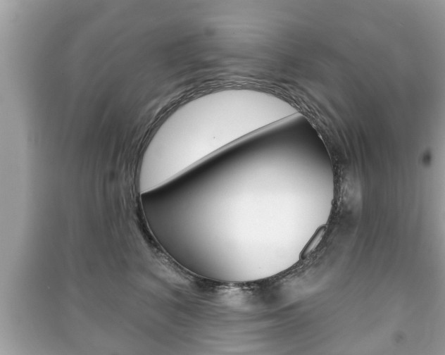 X0000091210616200708091117