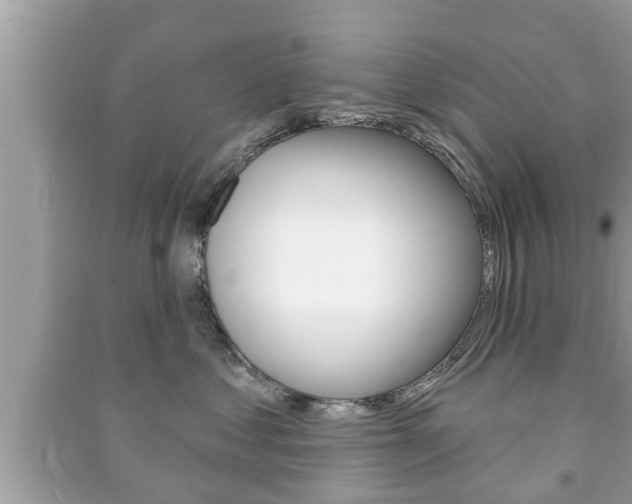 X0000091210621200708091117