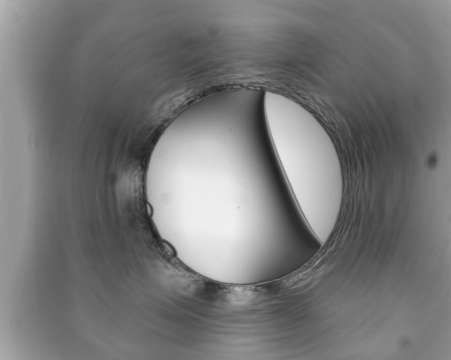 X0000091210623200708091117