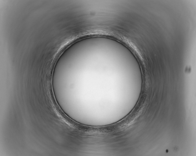 X0000091210625200708091116