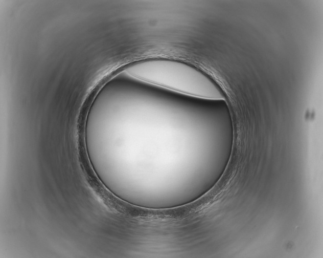 X0000091210626200708091116