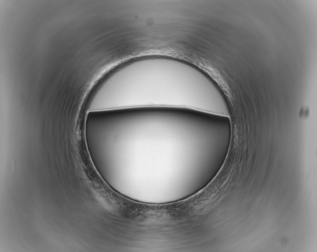 X0000091210628200708091116