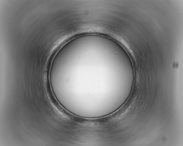 X0000091210629200708091116