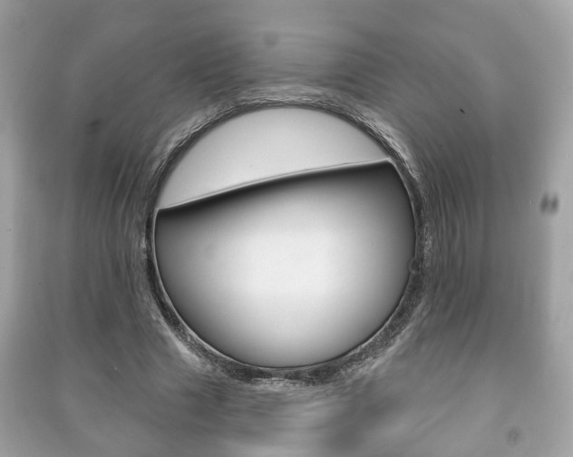 X0000091210633200708091116