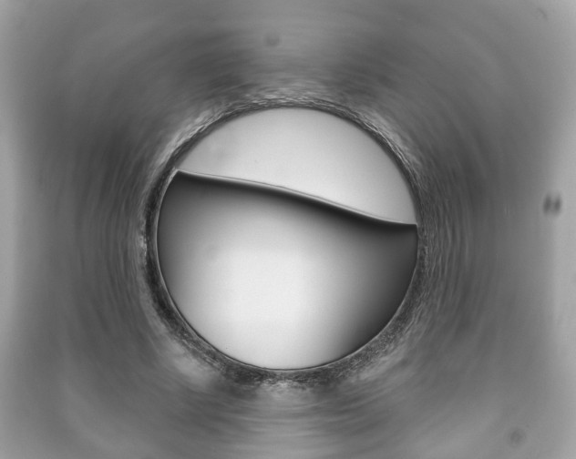 X0000091210634200708091116