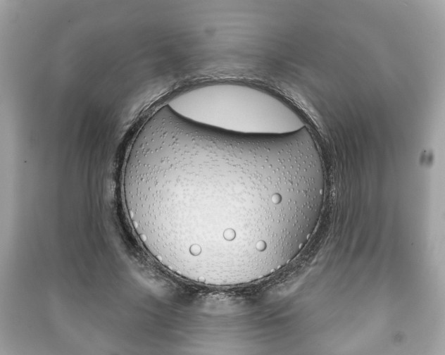 X0000091210635200708091116