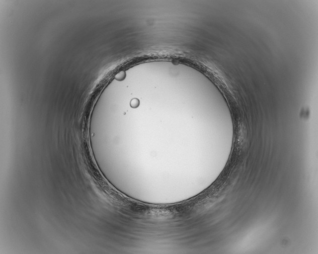 X0000091210636200708091116