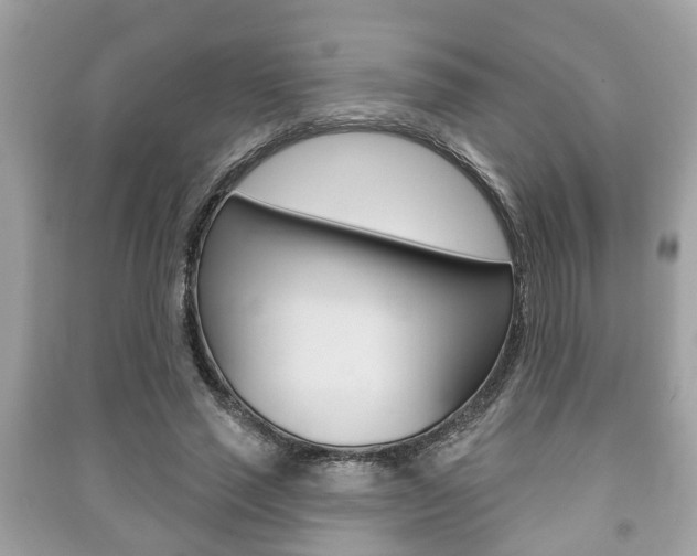 X0000091210637200708091116