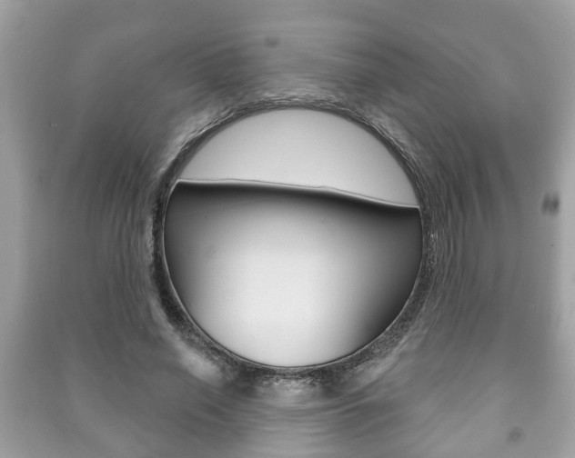 X0000091210638200708091116