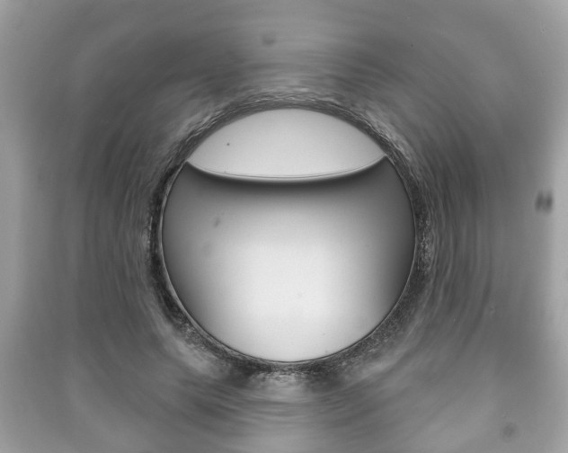 X0000091210639200708091116