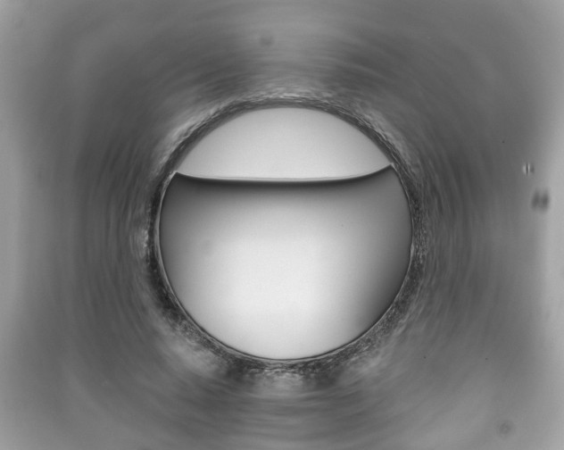X0000091210640200708091116