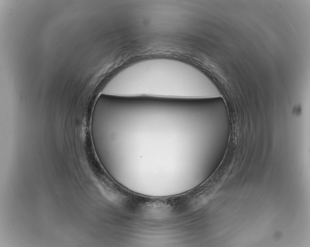 X0000091210644200708091116