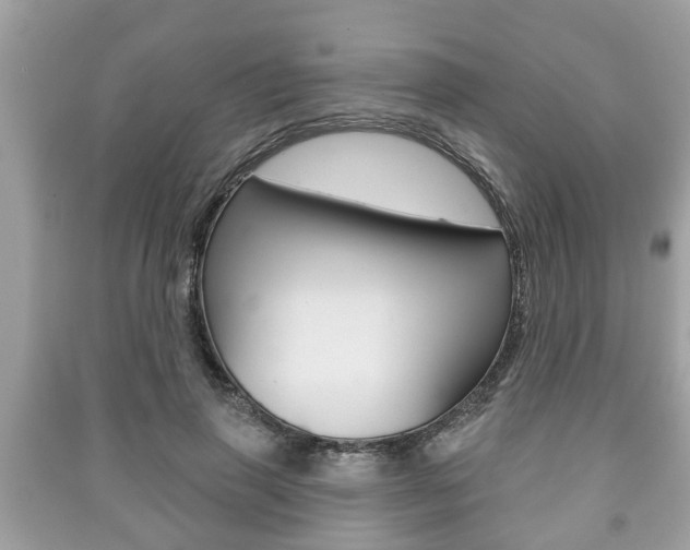 X0000091210645200708091116