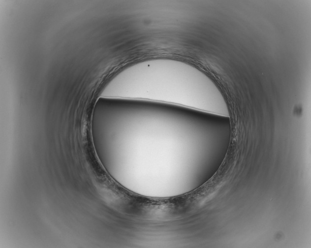 X0000091210646200708091116