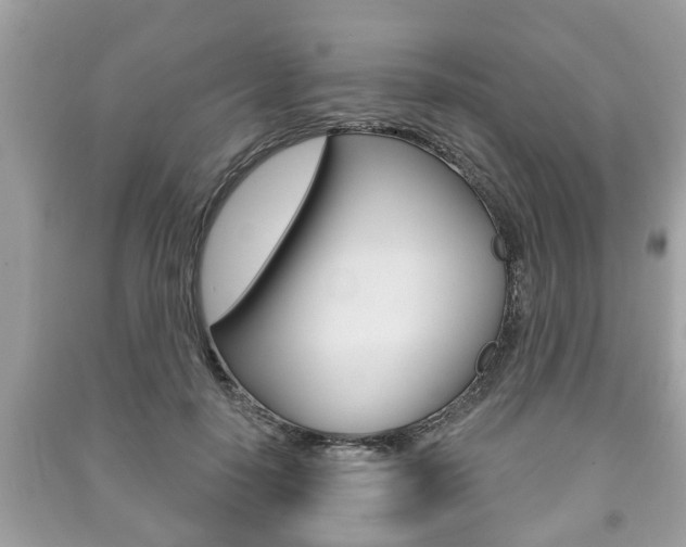 X0000091210650200708091116