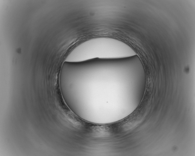 X0000091210652200708091116