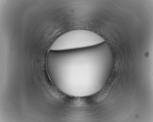 X0000091210656200708091116