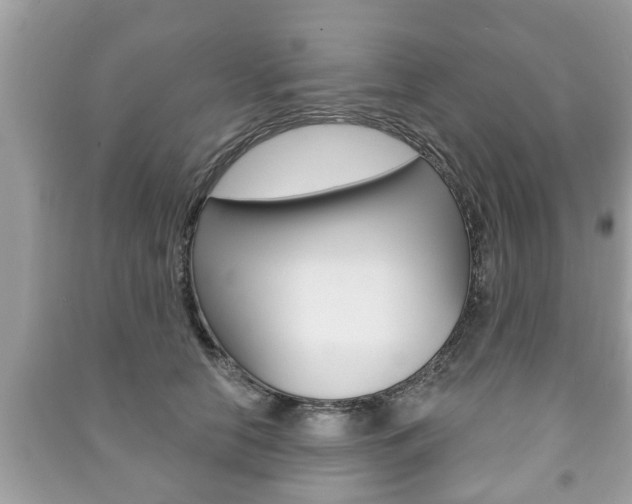 X0000091210658200708091117