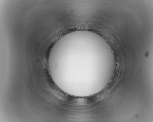 X0000091210659200708091117