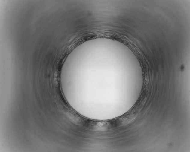 X0000091210663200708091117