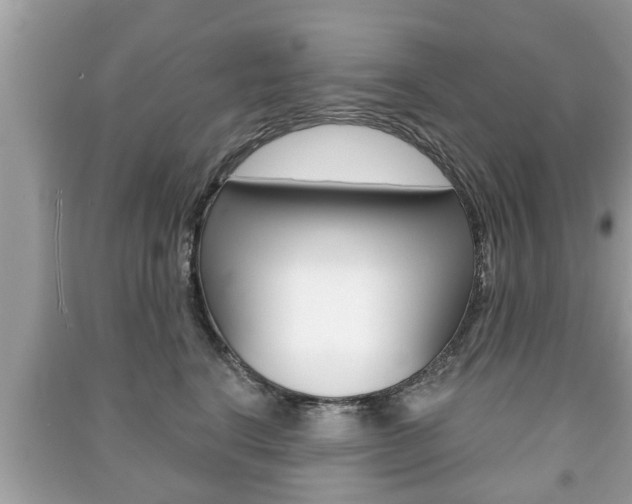 X0000091210664200708091117