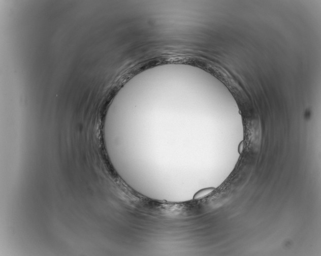 X0000091210667200708091117