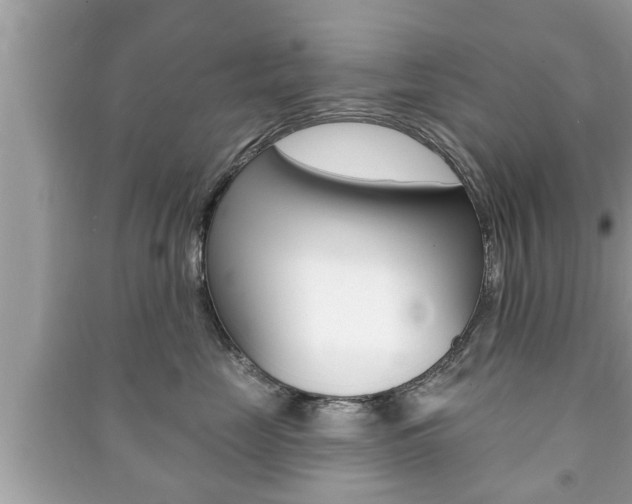 X0000091210669200708091117