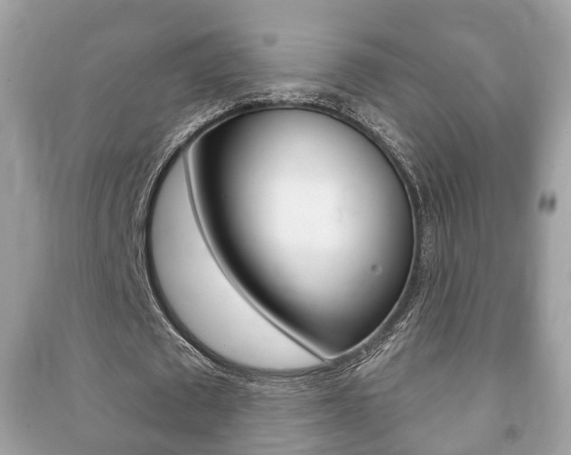 X0000091210673200708091116