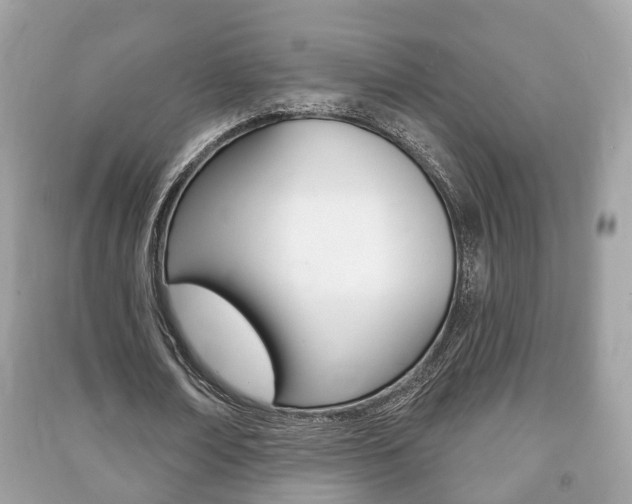 X0000091210674200708091116
