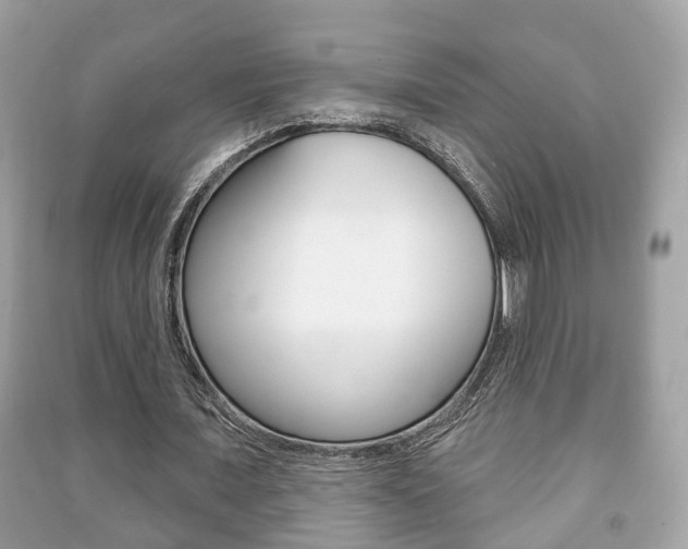 X0000091210675200708091116