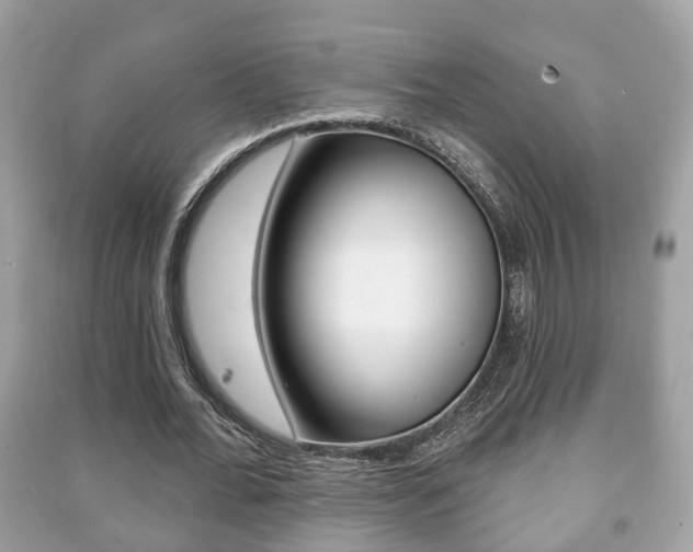 X0000091210676200708091116