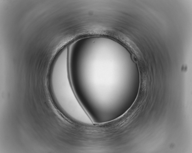 X0000091210677200708091116