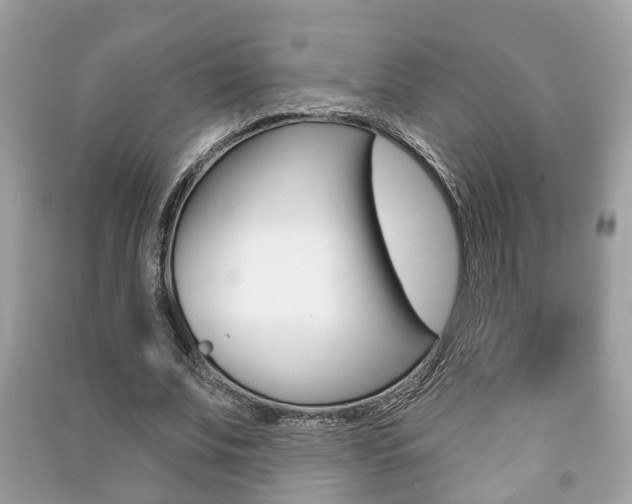 X0000091210679200708091116
