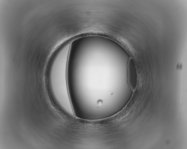 X0000091210680200708091116